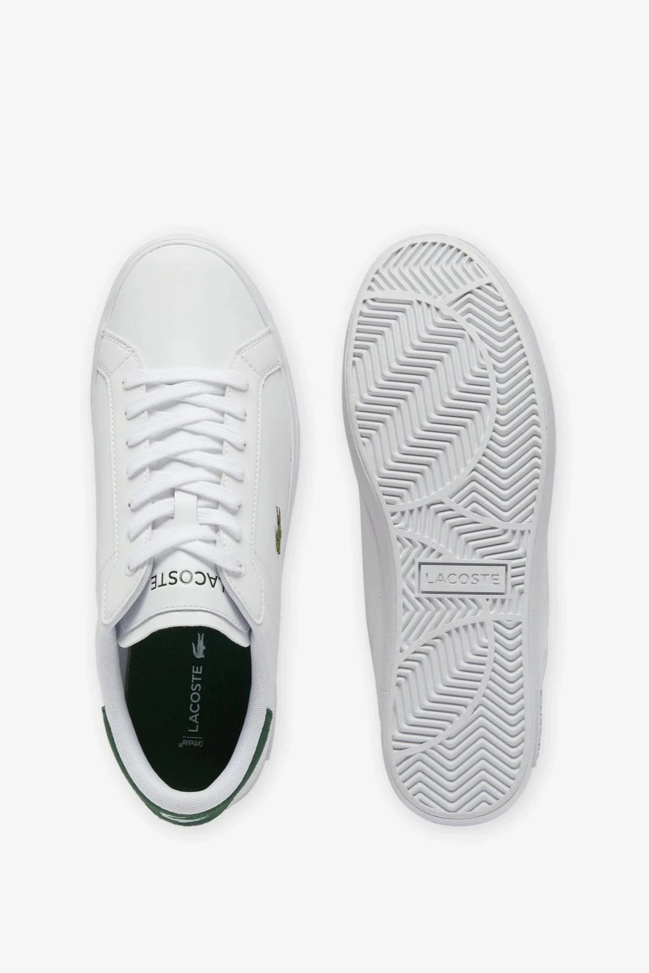Baskets Lacoste blanches